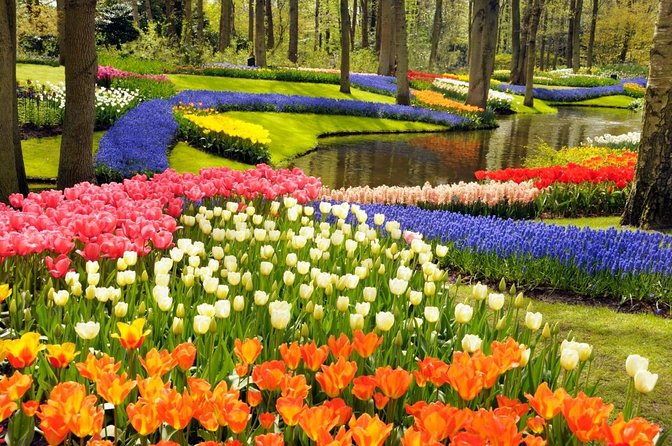 keukenhof-photo